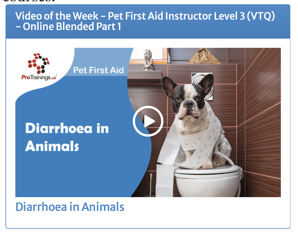 Canine First Aid Video of the Week