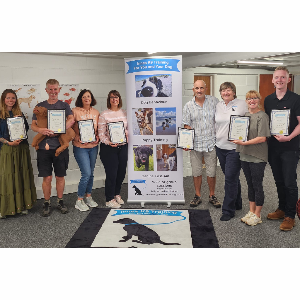 First Aid for Dogs Certificates