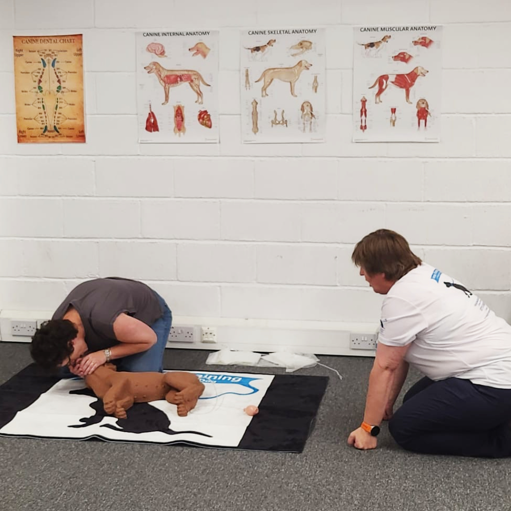 First Aid for Dogs - Resuss